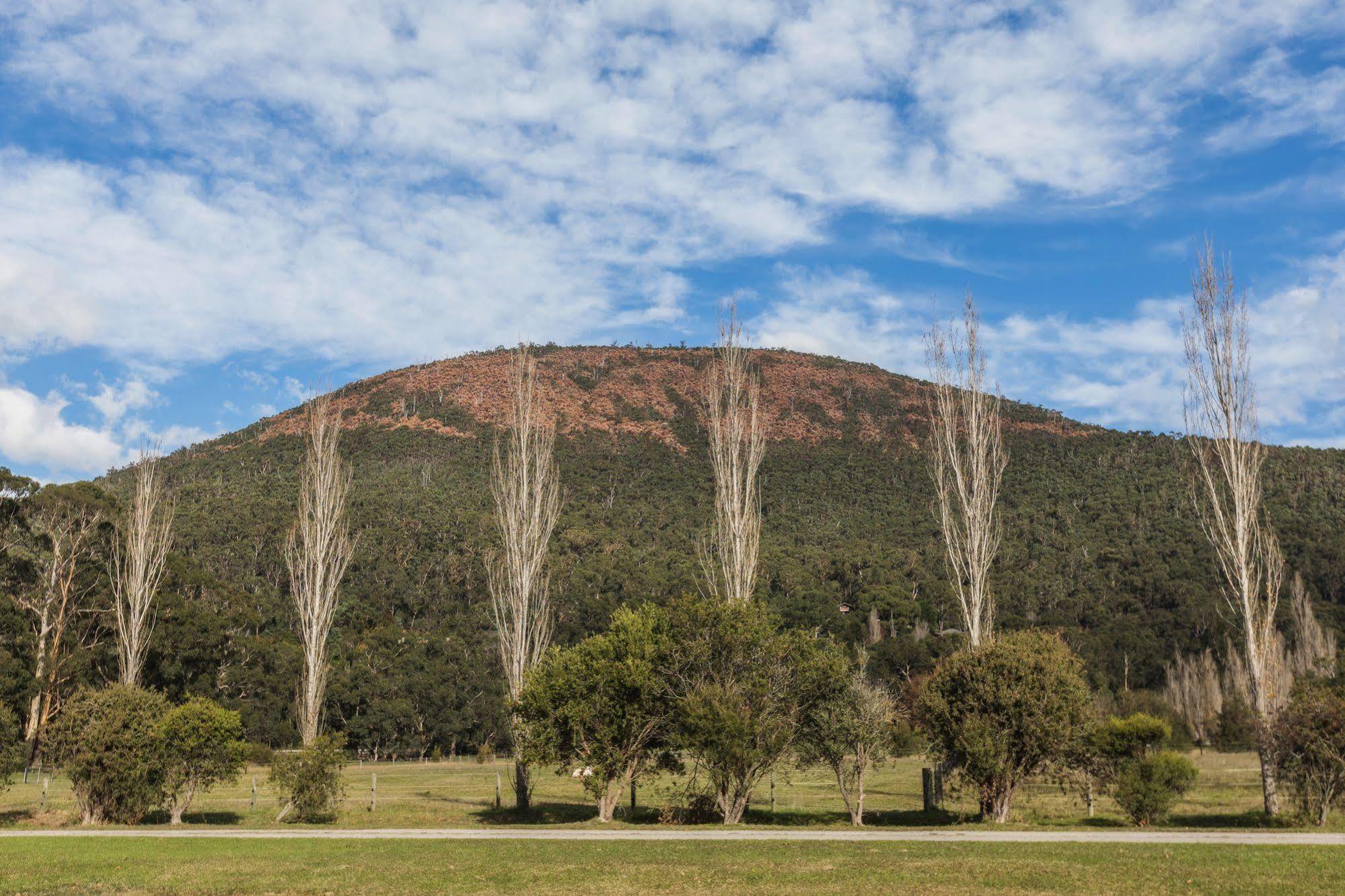 Oscar'S On The Yarra Hotel Warburton Bagian luar foto