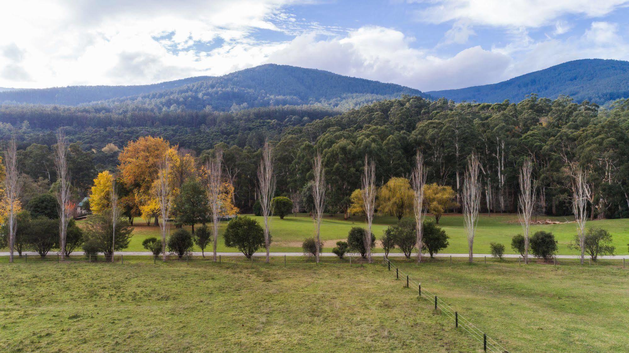 Oscar'S On The Yarra Hotel Warburton Bagian luar foto