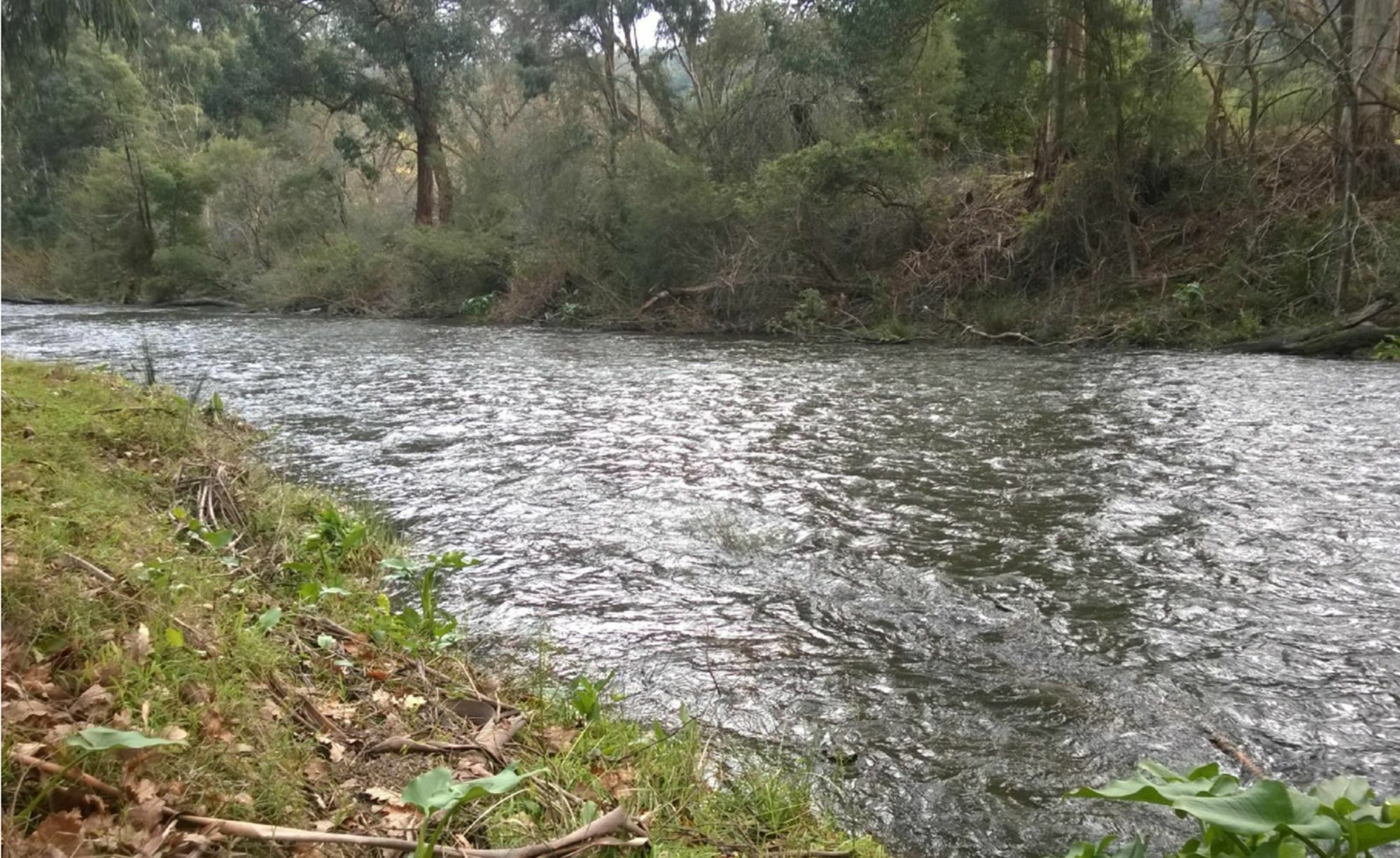 Oscar'S On The Yarra Hotel Warburton Bagian luar foto